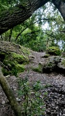 Entrando en las cuevas de Cristal de Zurita.