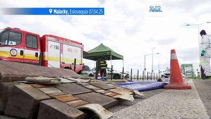 Las inspecciones de camiones procedentes de Eslovaquia por la fiebre aftosa provocan atascos masivos