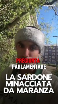 Robby Giusti - PIENA SOLIDARIETÀ a Silvia Sardone! (08.04.25)