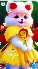 beautiful 😍 cute baby cat 😺 relax music video