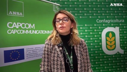 Vinitaly, Palma Esposito : "Momento geopolitico molto delicato, attenzione sulla Pac"