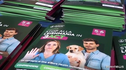 Leishmaniosi: prevenzione e approccio One Health