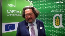 Vinitaly, Tenuta Toscanella Rimaggio: 