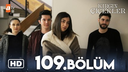 Kırgın Çiçekler 109. Bölüm | HD