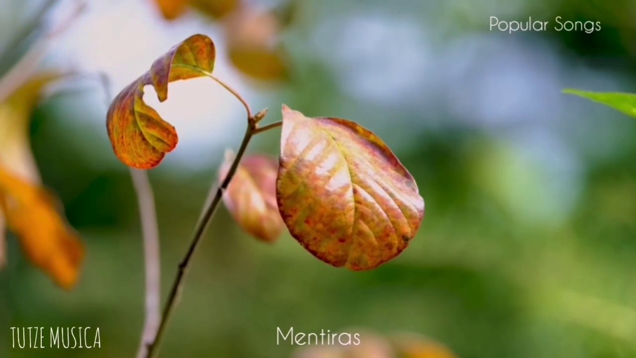 MENTIRAS.