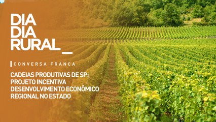 Cadeias produtivas de SP: projeto incentiva desenvolvimento econômico regional no estado.