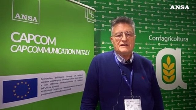Vinitaly: parla Paolo Mastroberardino, titolare della tenuta agricola Terredora