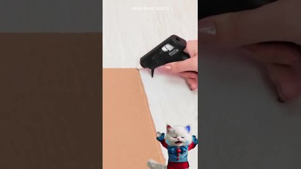 DIY GOLDEN VENDING MACHINE🐾 #cat #meow #shorts #funny #funnyanimals