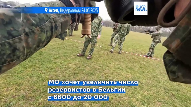 Бельгия последует примеру Нидерландов и введет добровольную военную службу