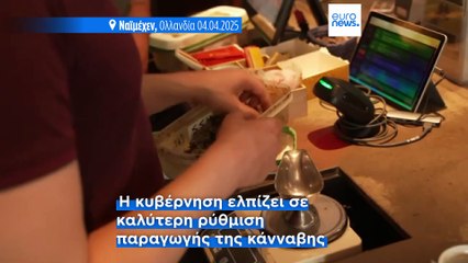 Ολλανδία: Σε πλήρη λειτουργία το πείραμα «νόμιμο χόρτο» για την κάνναβη