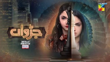 Judwaa - Episode 28 - 8th April 2025 [ Aina Asif & Adnan Raza Mir ] Shesha Beauty Cream - HUM TV