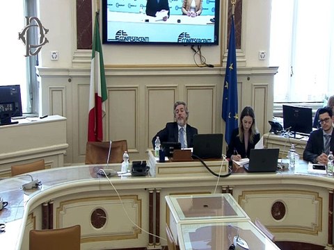 Roma - DL Rischi catastrofali - Audizione - UNC, ANCE, CNA... (08.04.25)