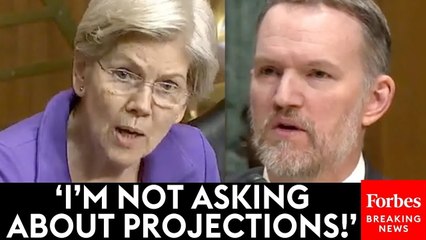 Elizabeth Warren Shows Absolutely No Mercy To Trump Trade Rep Over Tariff Chaos