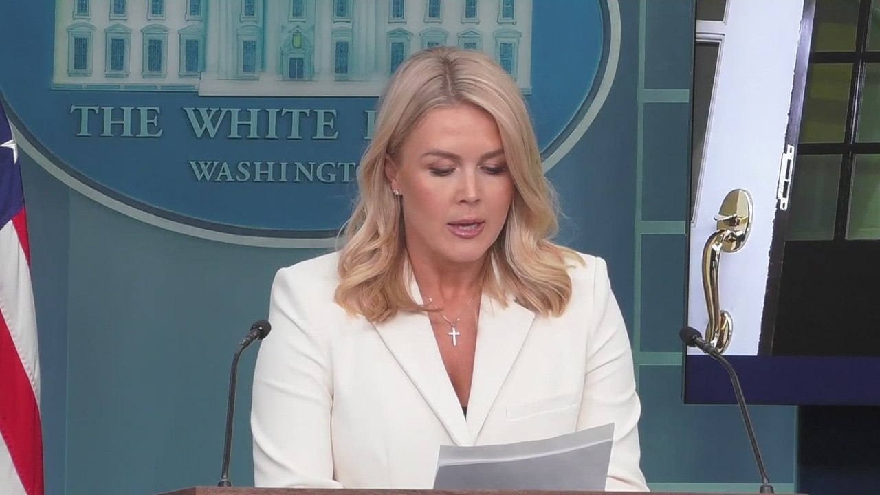 Karoline Leavitt vows Trump’s 'Spine of Steel' will keep tariffs intact