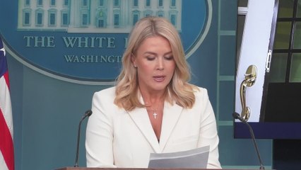 Karoline Leavitt vows Trump’s 'Spine of Steel' will keep tariffs intact