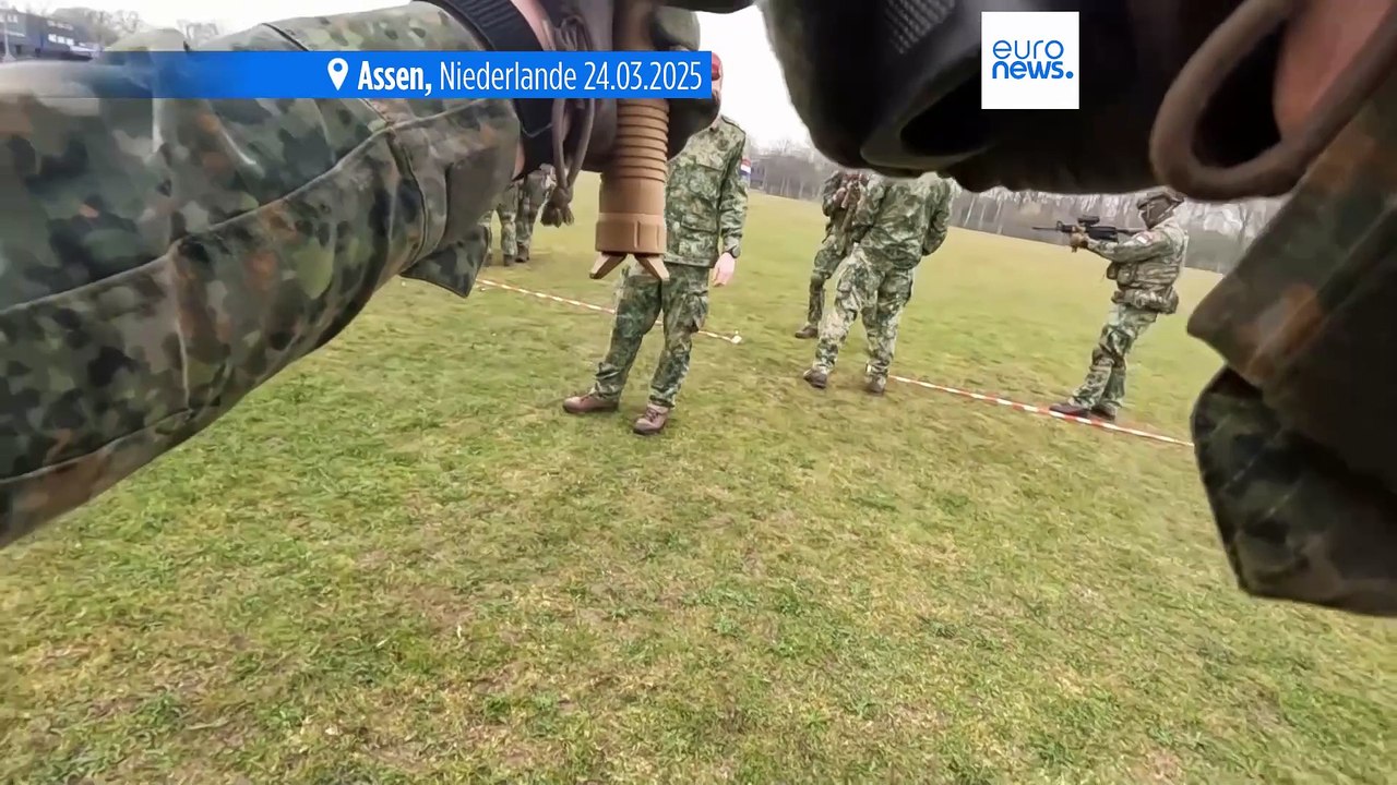 Belgien will freiwilligen Militärdienst nach niederländischem Vorbild einführen