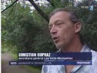 la rentrée des Verts de Montpellier