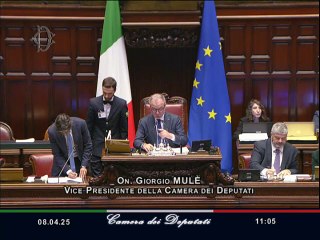 Roma - Camera - 19° Legislatura - 463° seduta -1- (08.04.25)