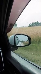 Entertainment And Educational