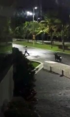 Motociclista é preso com alicate nas costas após furto de fiação em Praia Grande; VÍDEO