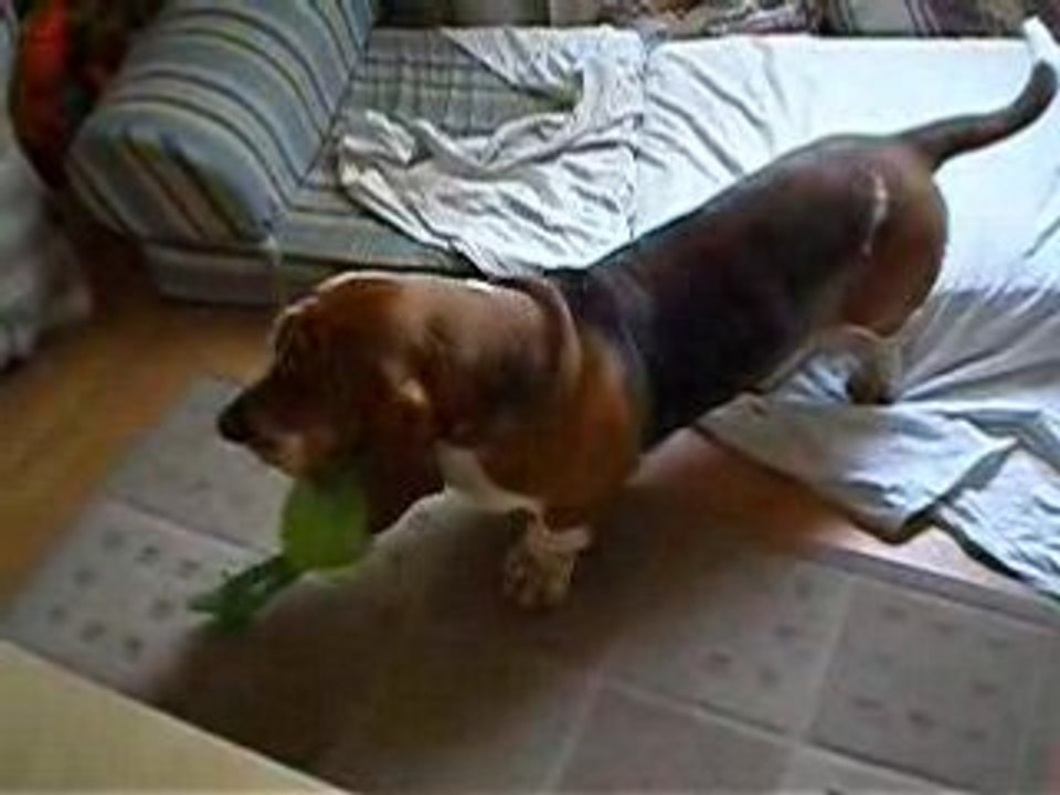 Buzz le chasseur d'extraterrestre