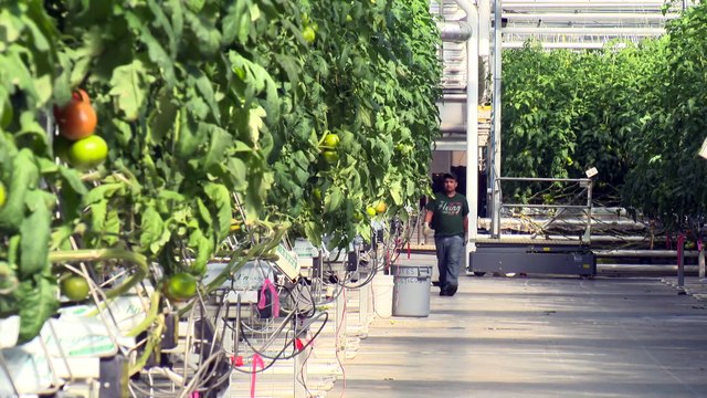 CH 08 Avril TOPO Enjeux elections federales h264