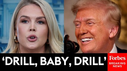 Karoline Leavitt Previews Trump’s Energy Policy Agenda: The ‘American Energy Industry Will Lead The Globe’