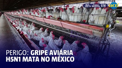 Gripe aviária H5N1 mata primeira criança no México