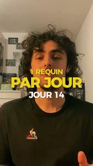 CALENDRIER DE L'AVANT // JOUR 14 🦈