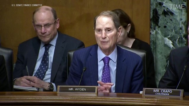 Trump's Trade Representative Testifies on Tariffs Before Senate Committee