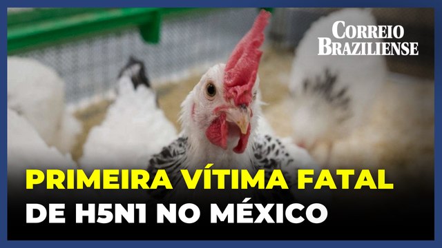 Criança é primeira vítima fatal de gripe aviária H5N1 reportada no México