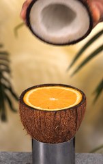 Create your own DIY guitar using a coconut shell!