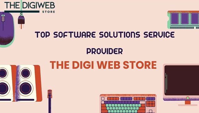 Top Software Solutions Service Provider - The Digi Web Store