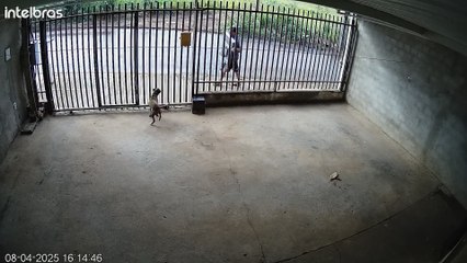 Vídeo: Homem furta produtos de residência no Gralha Azul