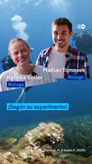 ¡Los peces pueden reconocer a los humanos!