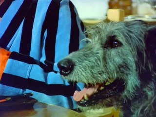 The Protectors  S01E07 - The Quick Brown Fox