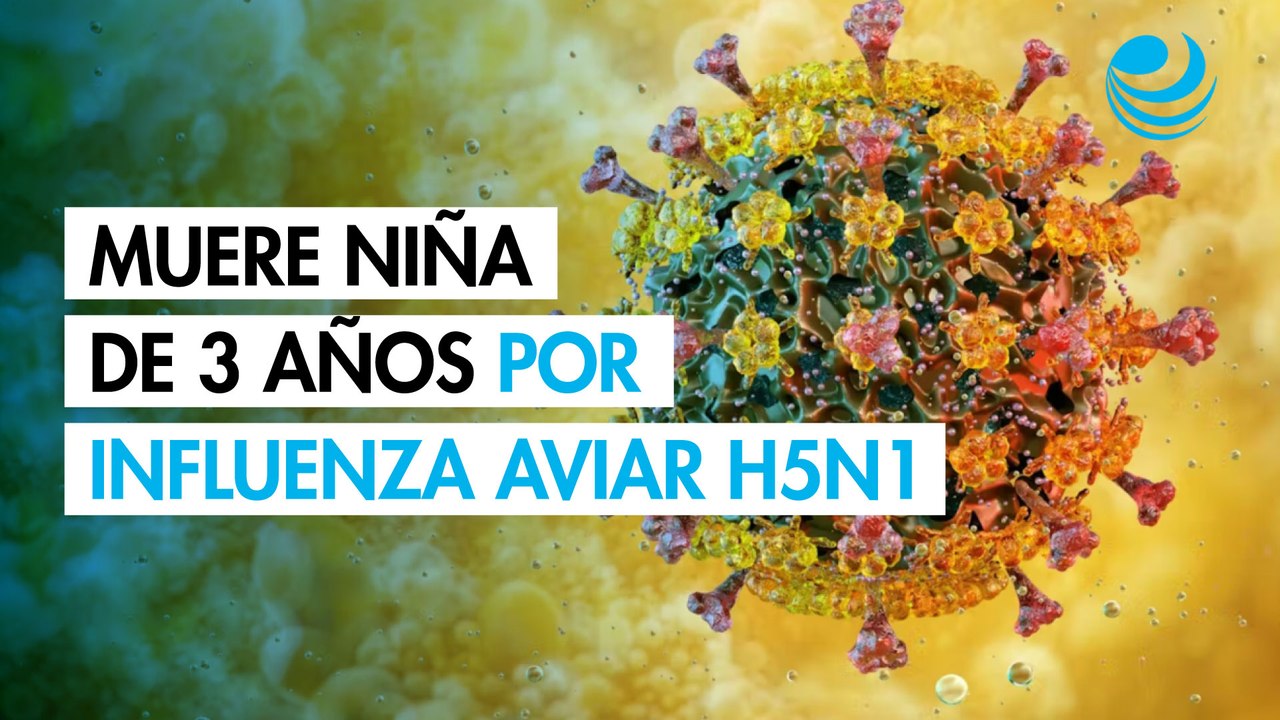 Murió la niña de 3 años contagiada con influenza aviar H5N1