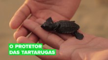 O protetor das tartarugas