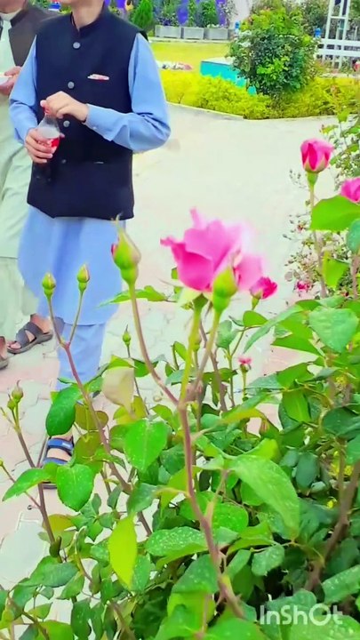 Handsum boys Joy of life with different kinds of videos