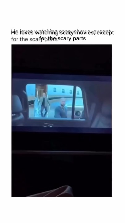 Dog watches scary movie