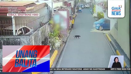 Huli-cam – Pusa, dalawang beses nasagasaan | Unang Balita
