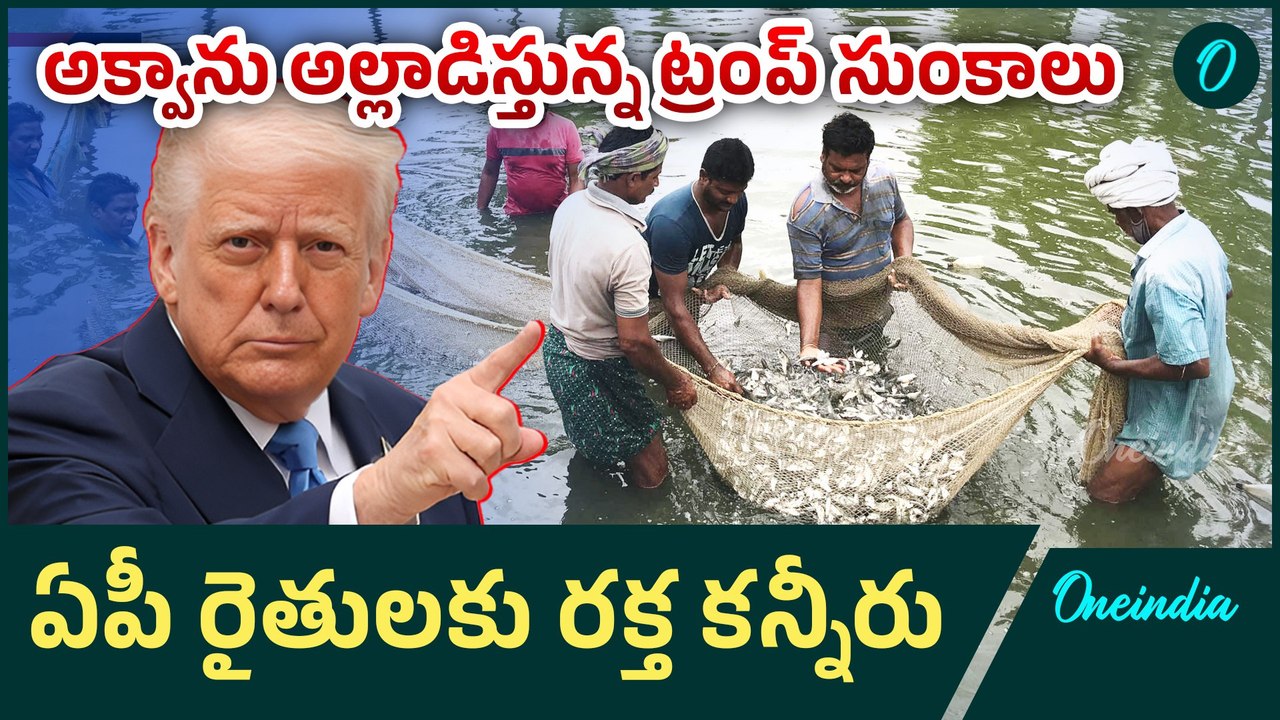 Trump tariffs  - రొయ్యలను కూడా వదలని ట్రంప్..  27 శాతం దిగుమతి సుంకం | Oneindia Telugu