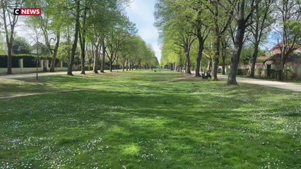 Essonne : une maire percutée lors d'un rodéo urbain