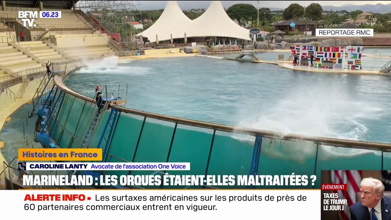 Bassins en bon état et normes respectées: des militants demandent la reprise des spectacles au Marineland de Antibes