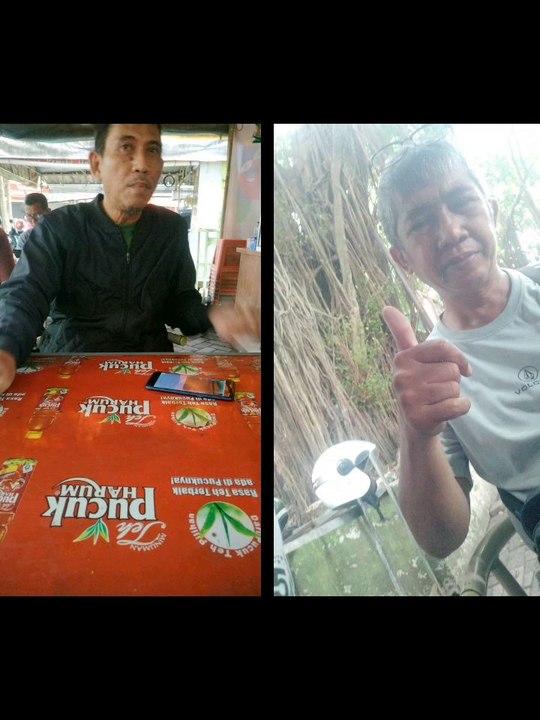 sehat2 bolo