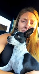 Ok but have ya'll seen a dog actually cry when you cry?