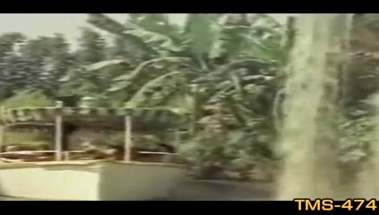 Jungle Cruise Part 1-Disneyland History-TMS-474