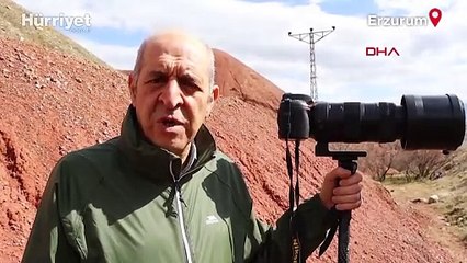 Erzurum'daki 'gökkuşağı tepeleri' doğa fotografçılarının ilgi odağı