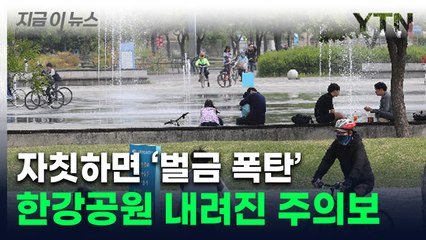 귀엽다고 했다가 '100만원' 과태료 폭탄...칼 뺀 서울시 [지금이뉴스]  / YTN