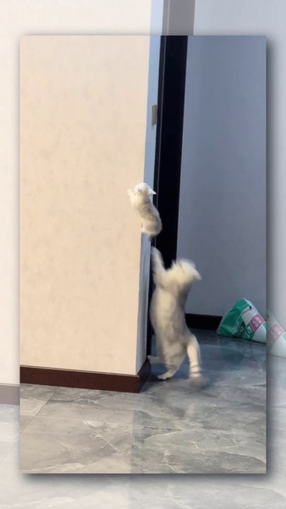 Climb High Little One